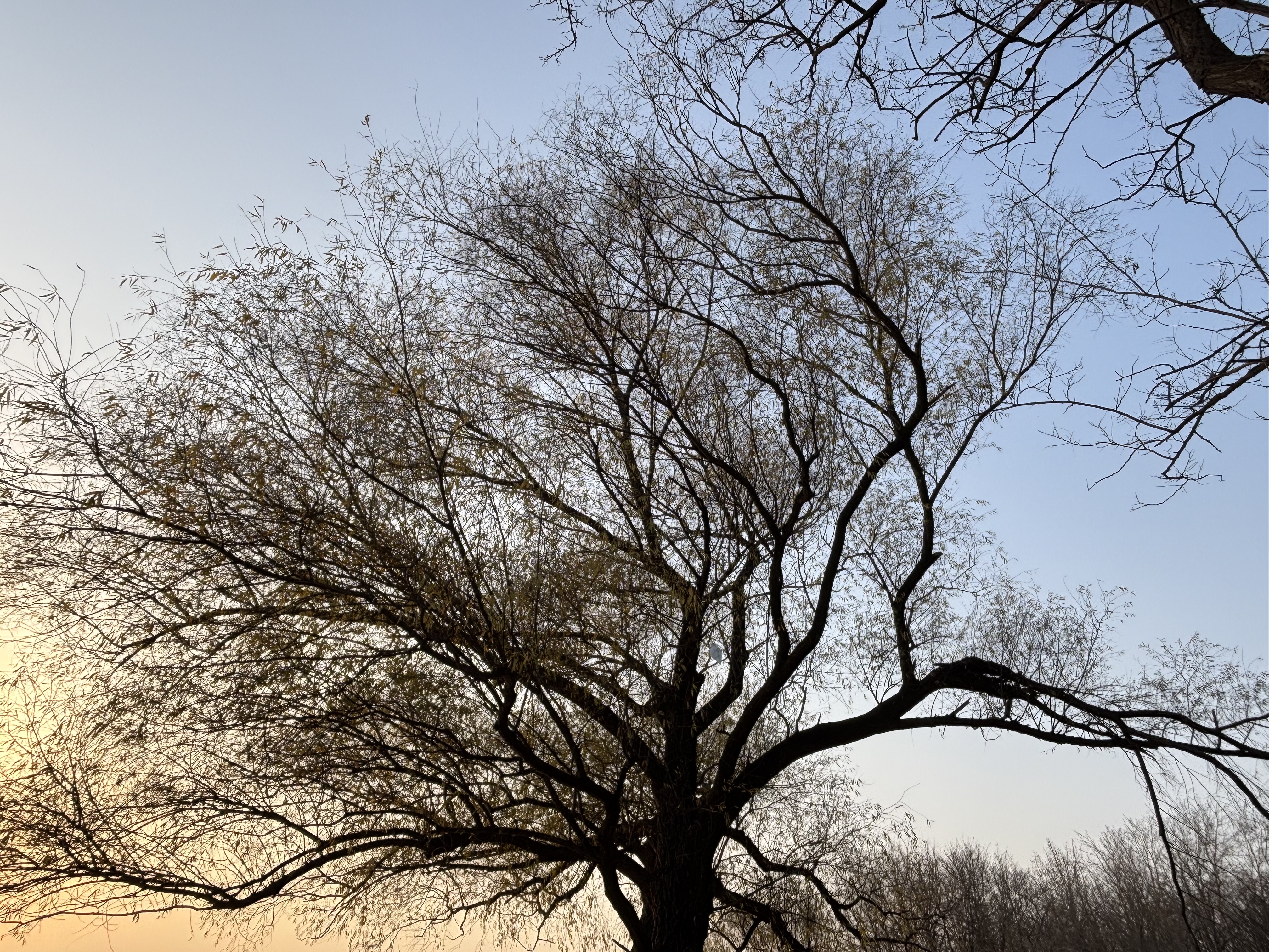 Featured image of post Database